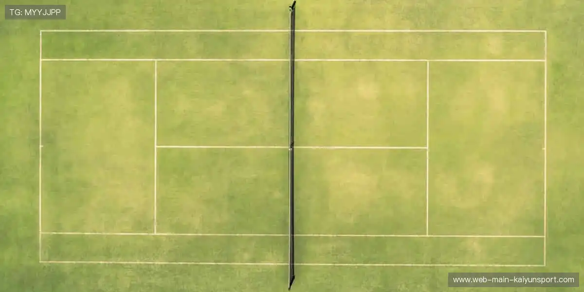 👟潮流装备，个性定制！从球鞋到球衣，打造专属你的运动风格！🎾